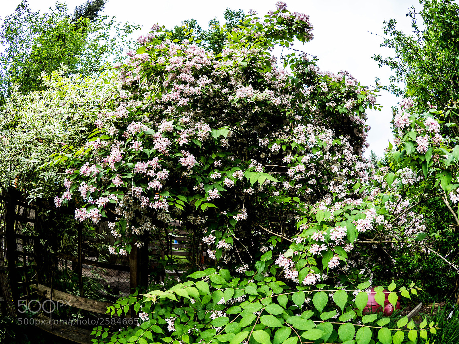 Olympus OM-D E-M10 III sample photo. Olympus digital camera photography