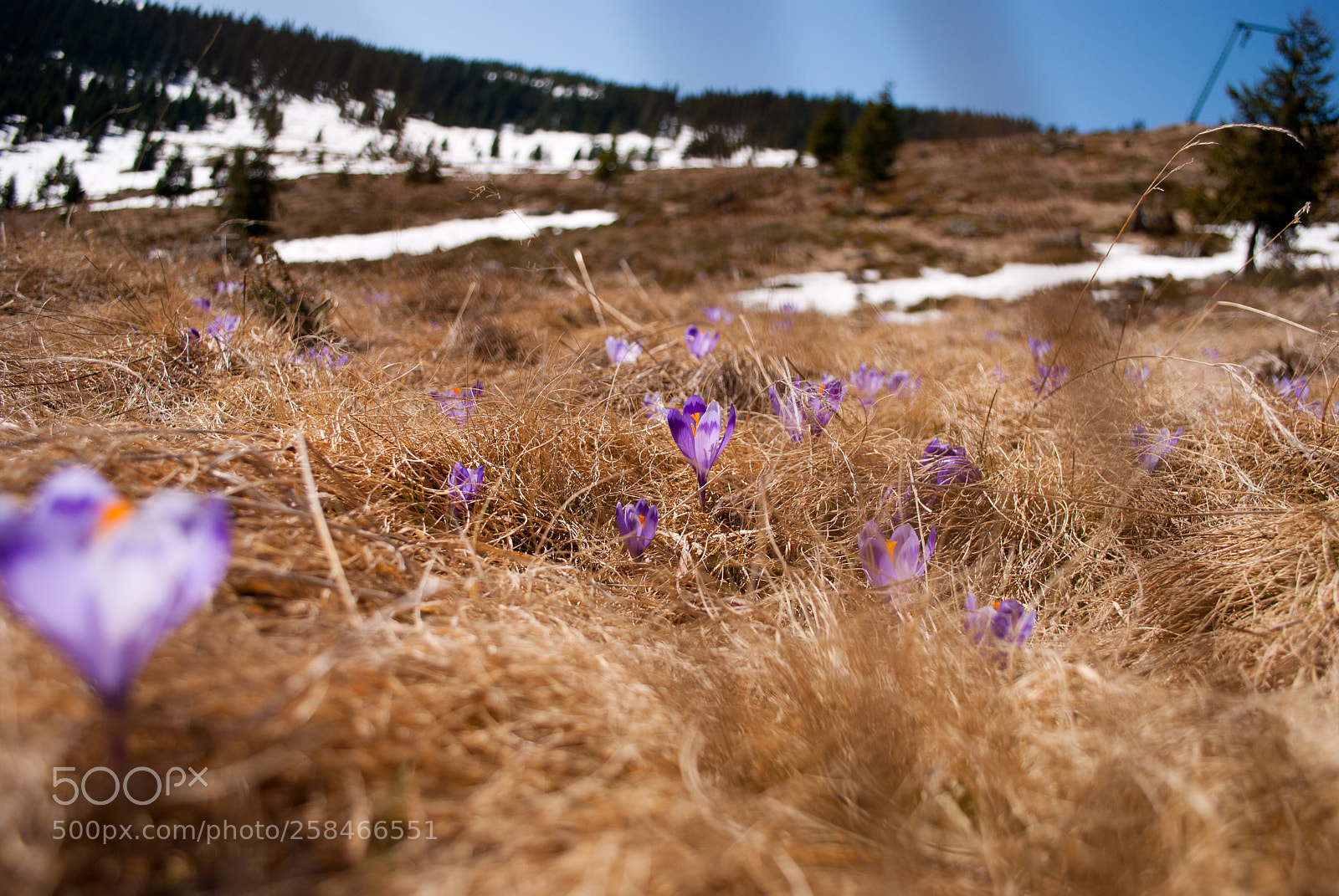 Nikon D3000 sample photo. Seasons mixing photography