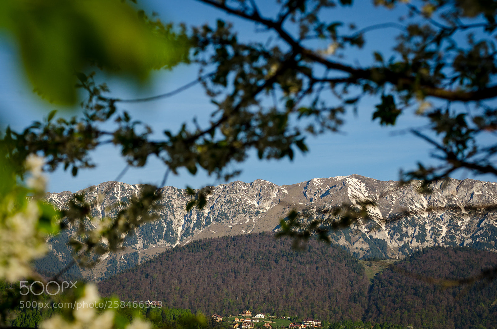 Nikon D7000 sample photo. Window photography