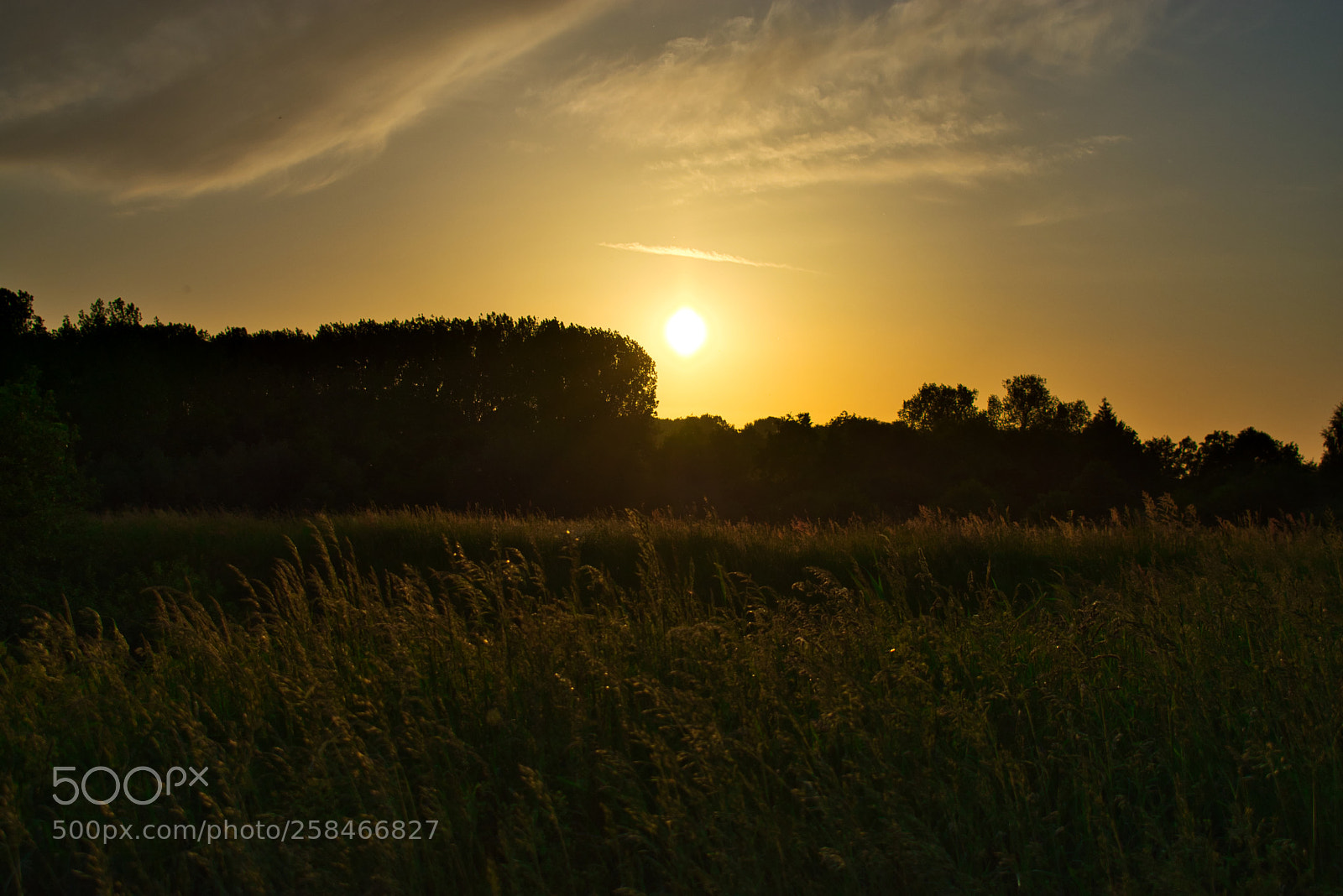 Nikon D3400 sample photo. Golden hour - sunset #001 photography