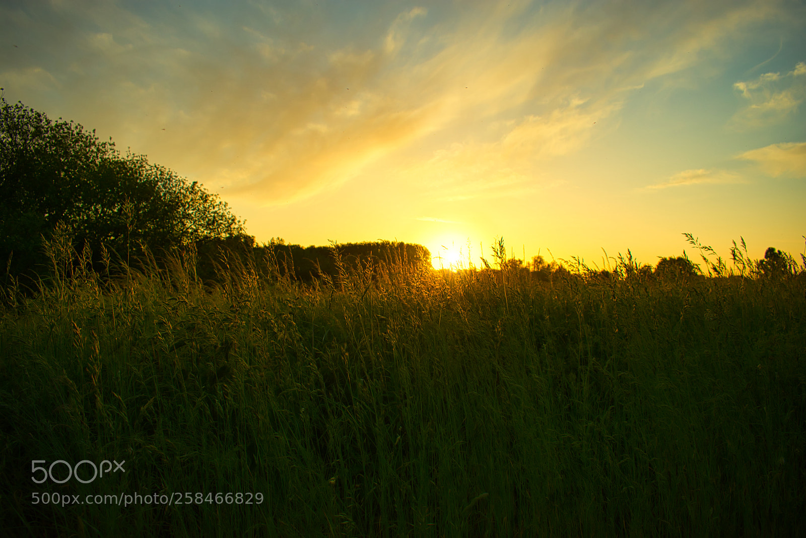 Nikon D3400 sample photo. Golden hour - sunset #002 photography
