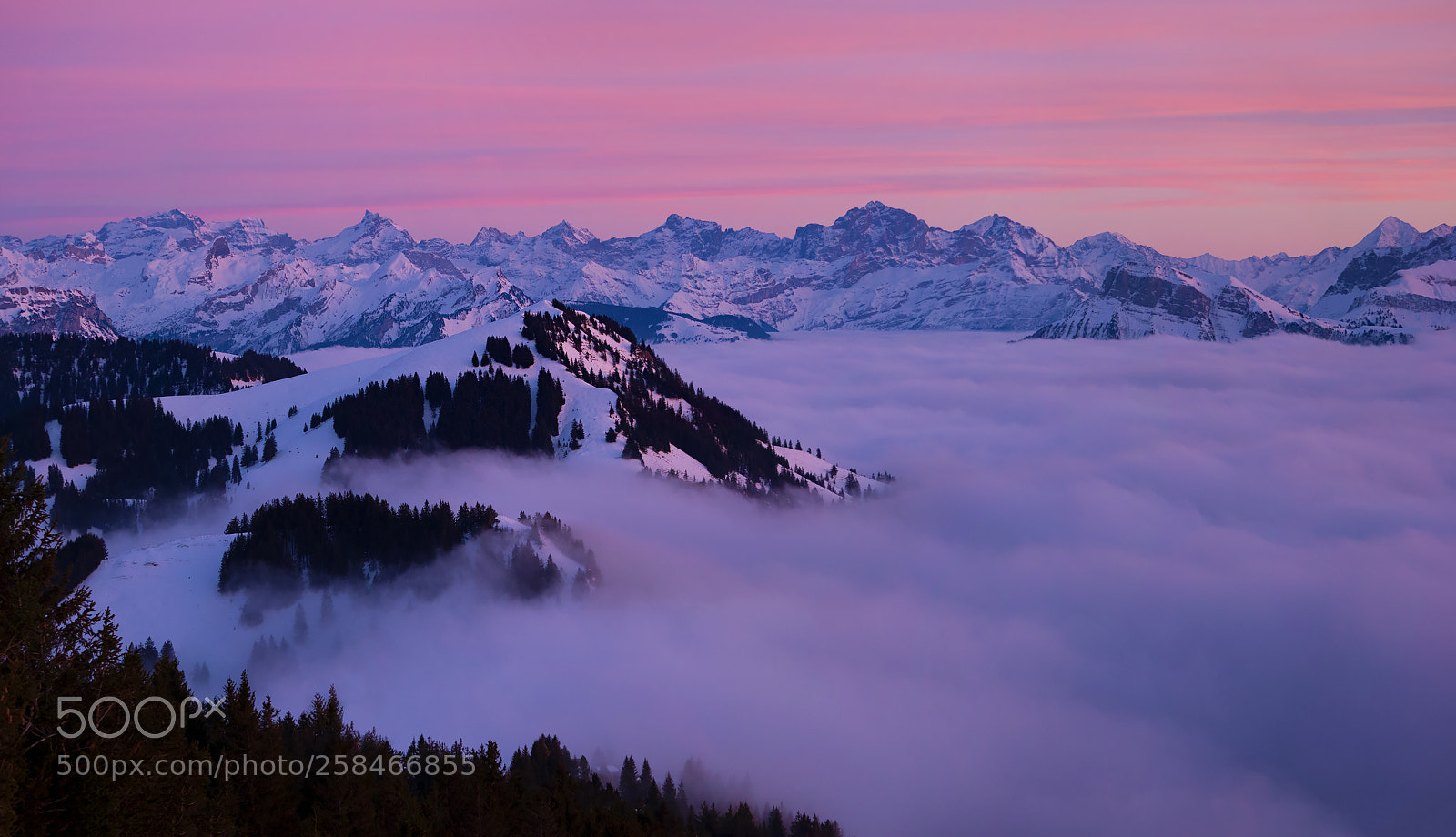 Olympus OM-D E-M1 Mark II sample photo. Romantic mountain evening photography