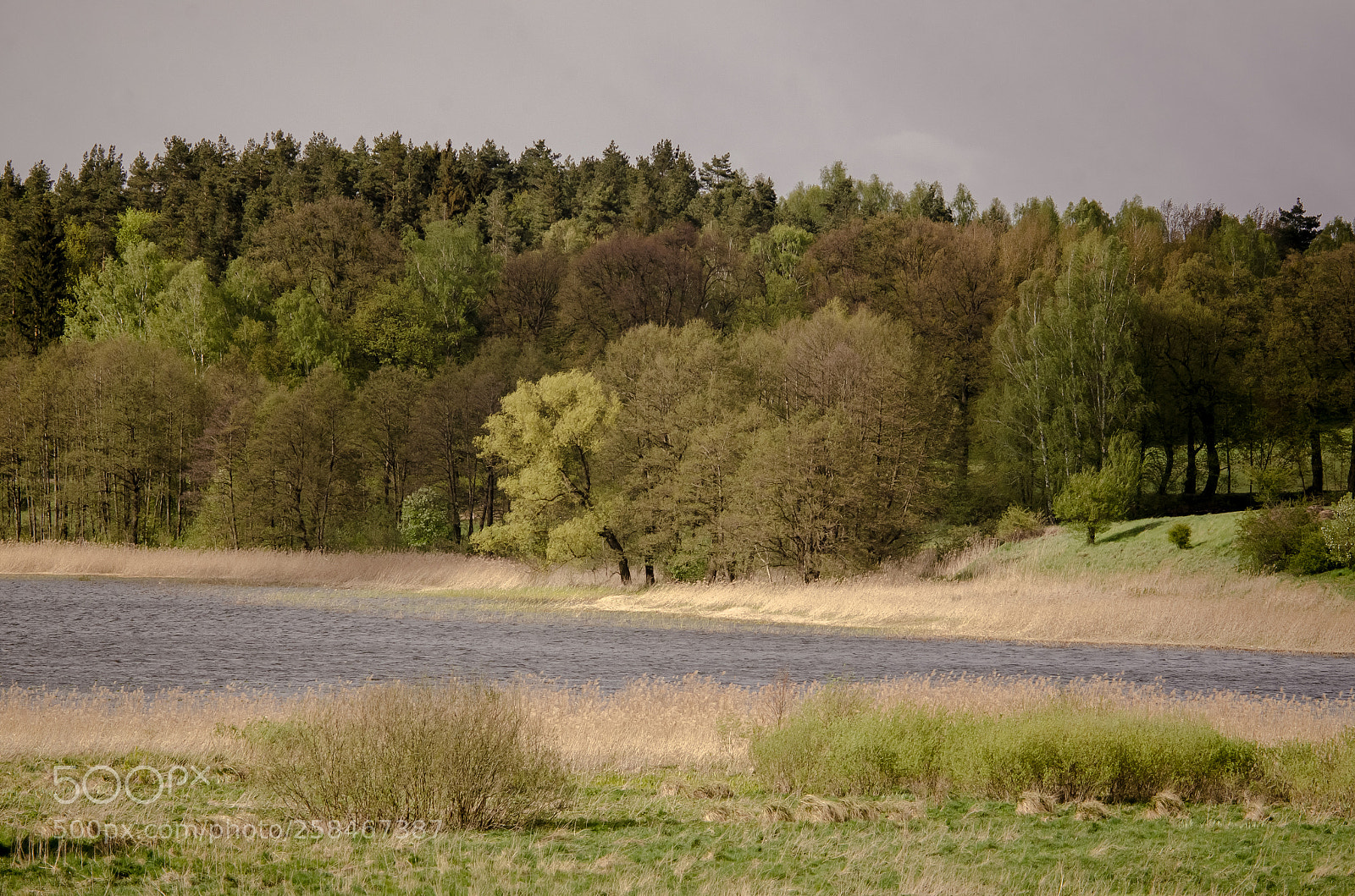 Nikon D7000 sample photo. Warmia's edge photography
