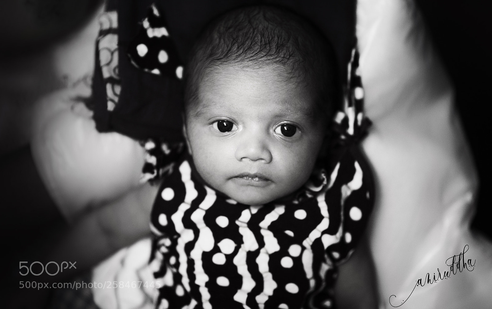 Nikon D750 sample photo. Attentive eyes of my photography
