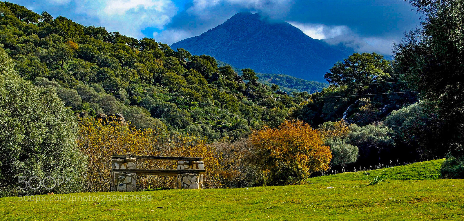 Nikon D3000 sample photo. Merecido descanso photography
