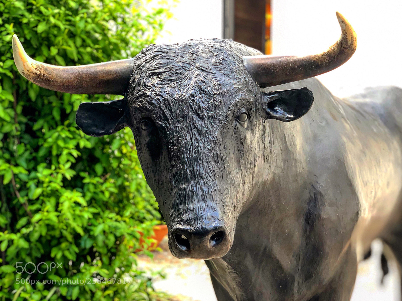Apple iPhone X sample photo. Untitled photography