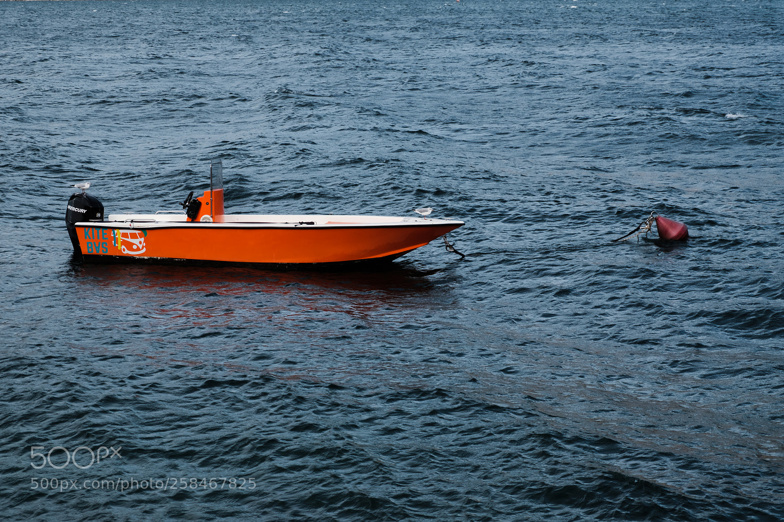 Fujifilm X-T20 sample photo. Floating photography