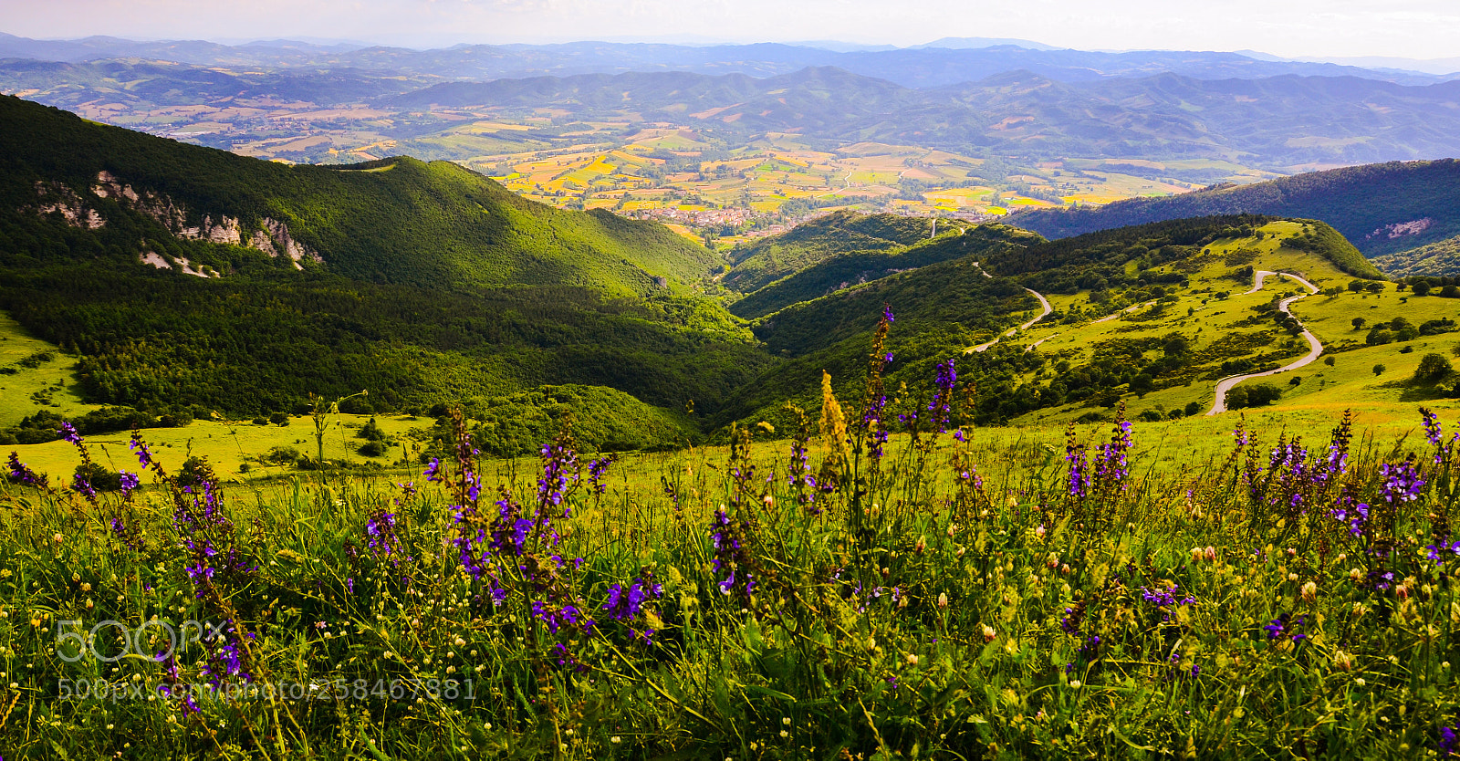Nikon D7000 sample photo. Valley photography