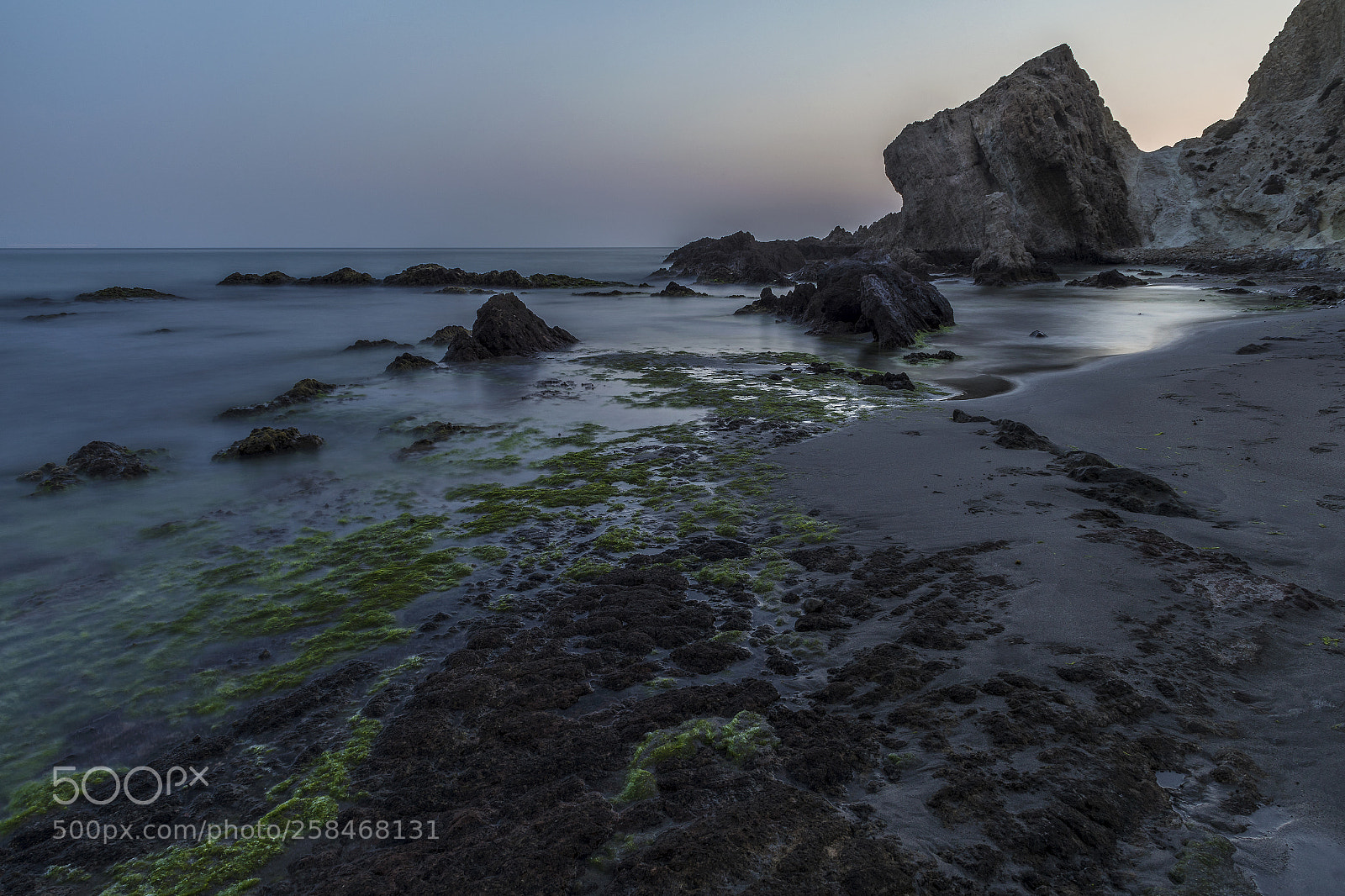 Sony a7 II sample photo. Green way photography