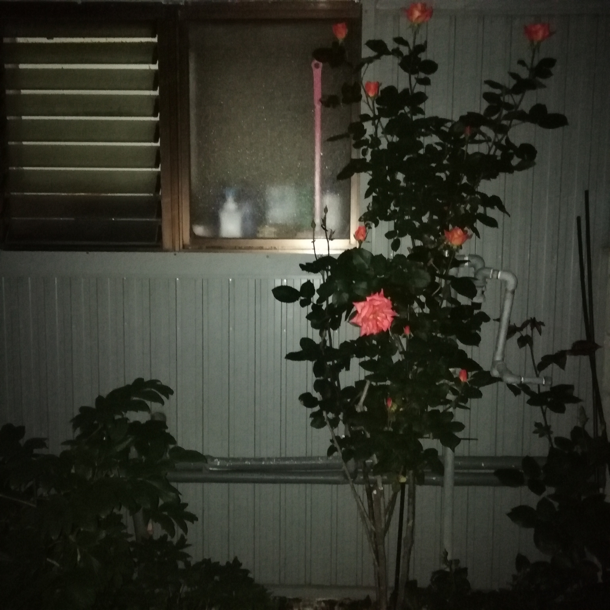HUAWEI P SMART sample photo