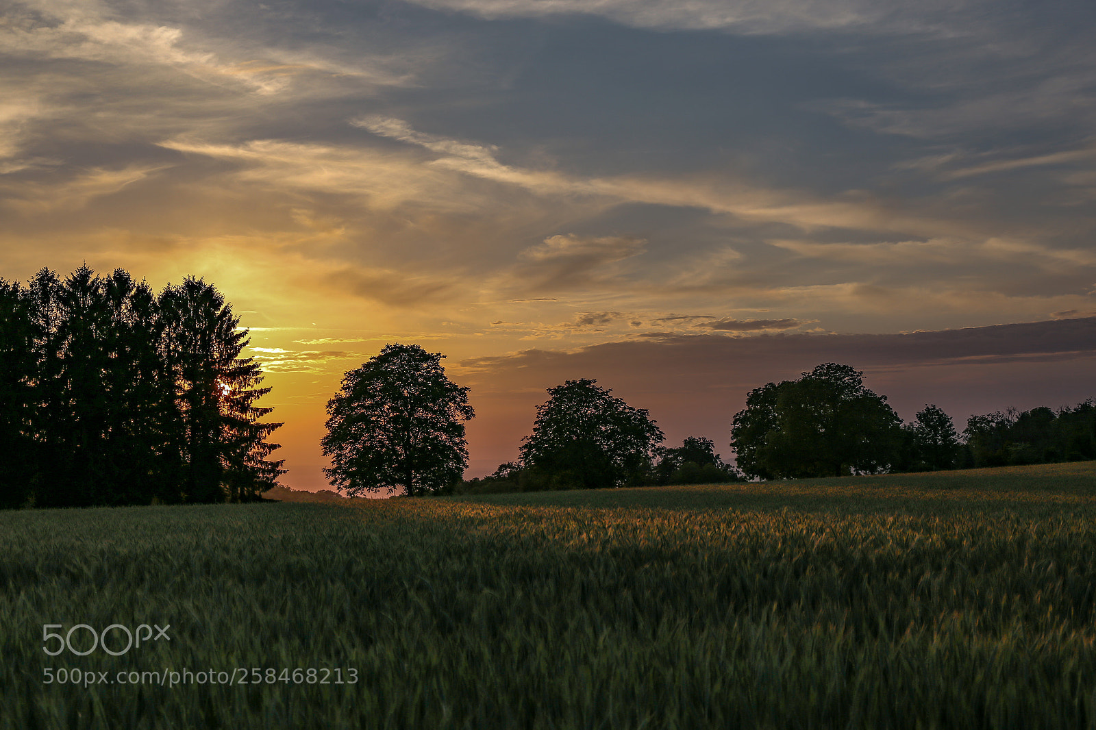 Canon EOS 6D sample photo. Sunset photography