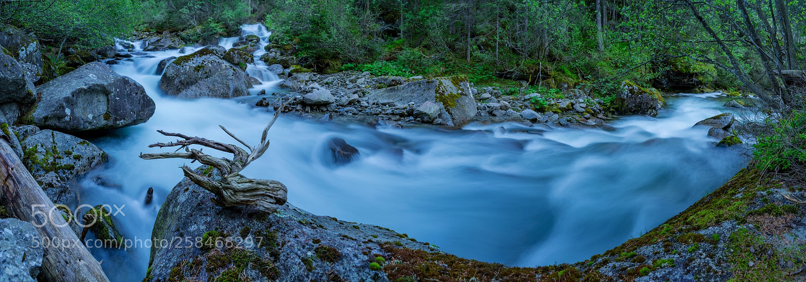 Sony a7 sample photo. Magic ziela (no.2) photography