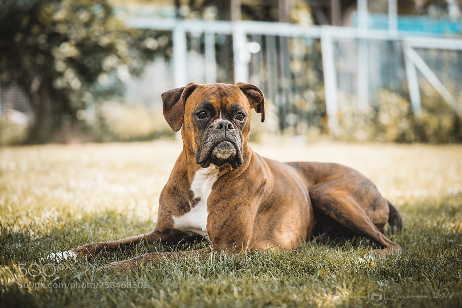 Sony a7 II sample photo. My princess  photography