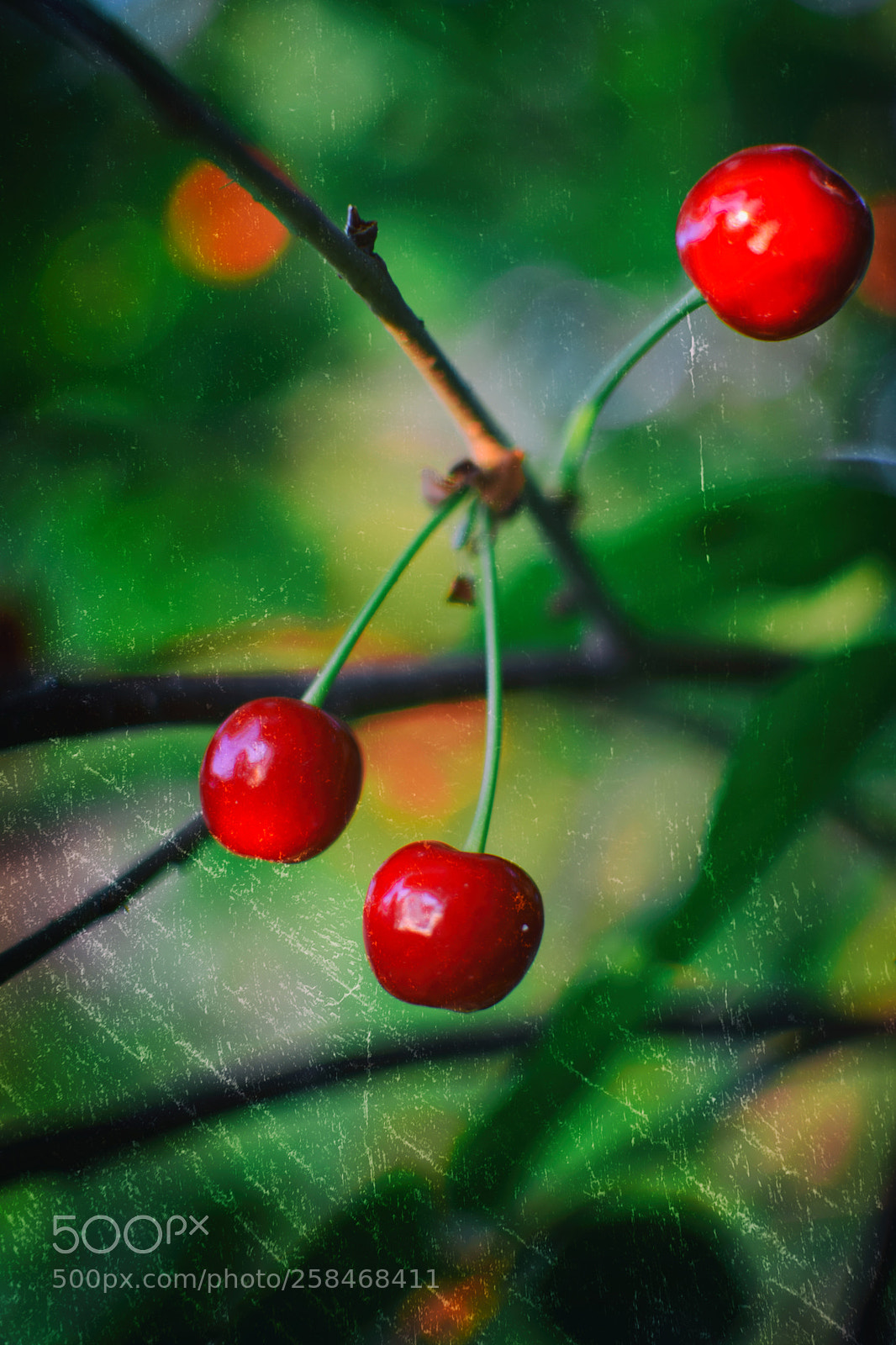 Nikon D5300 sample photo. Untitled photography