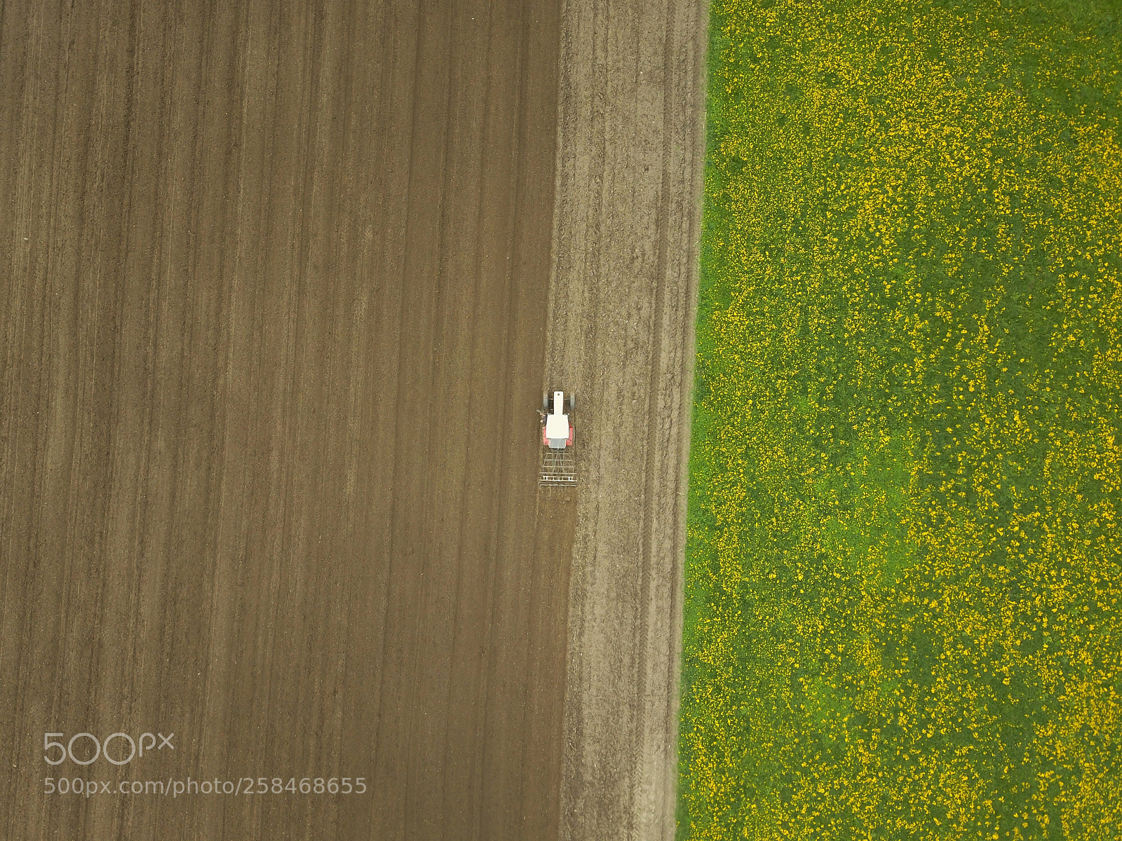 DJI FC220 sample photo. Untitled photography