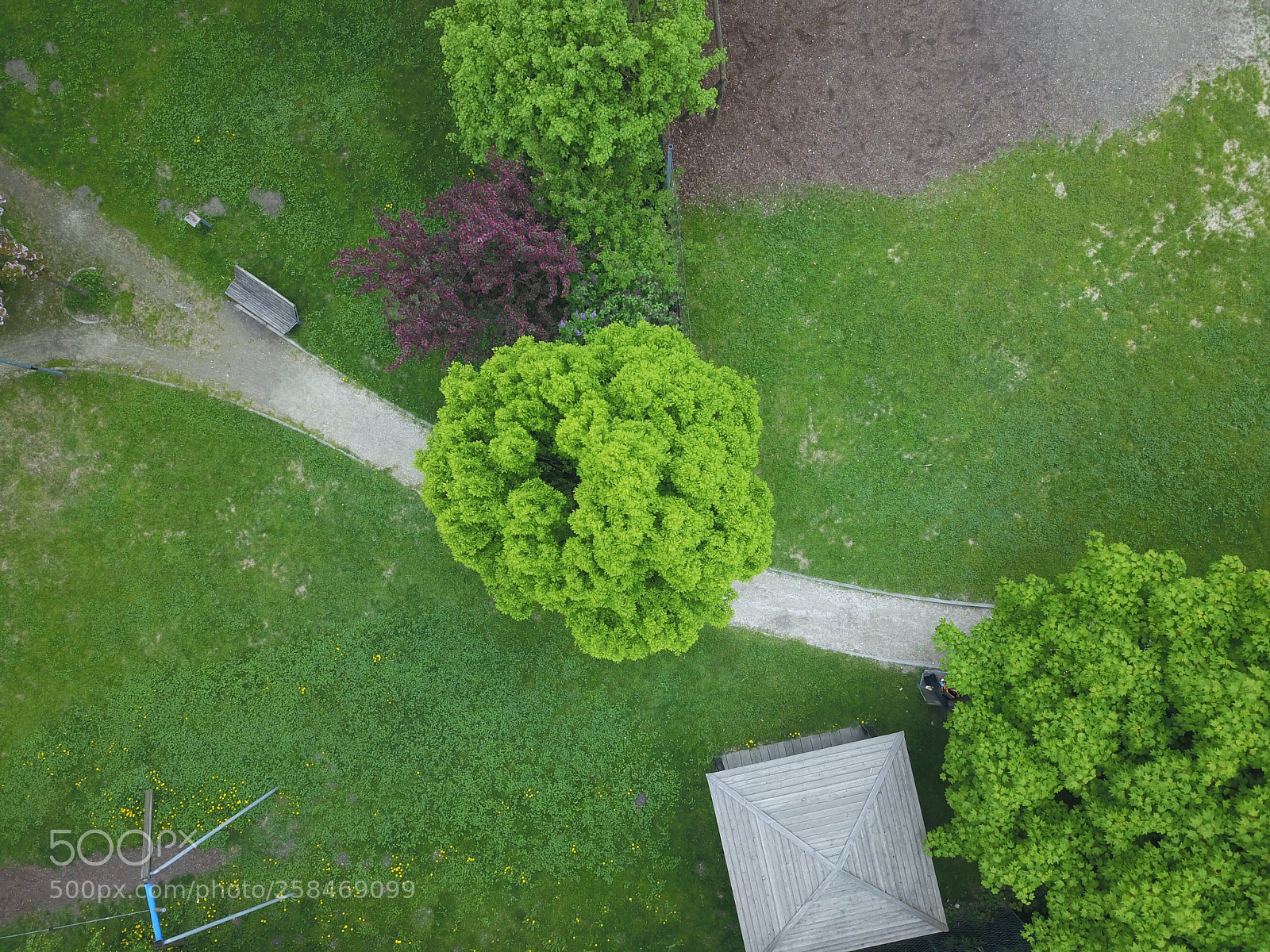 DJI FC220 sample photo. Untitled photography