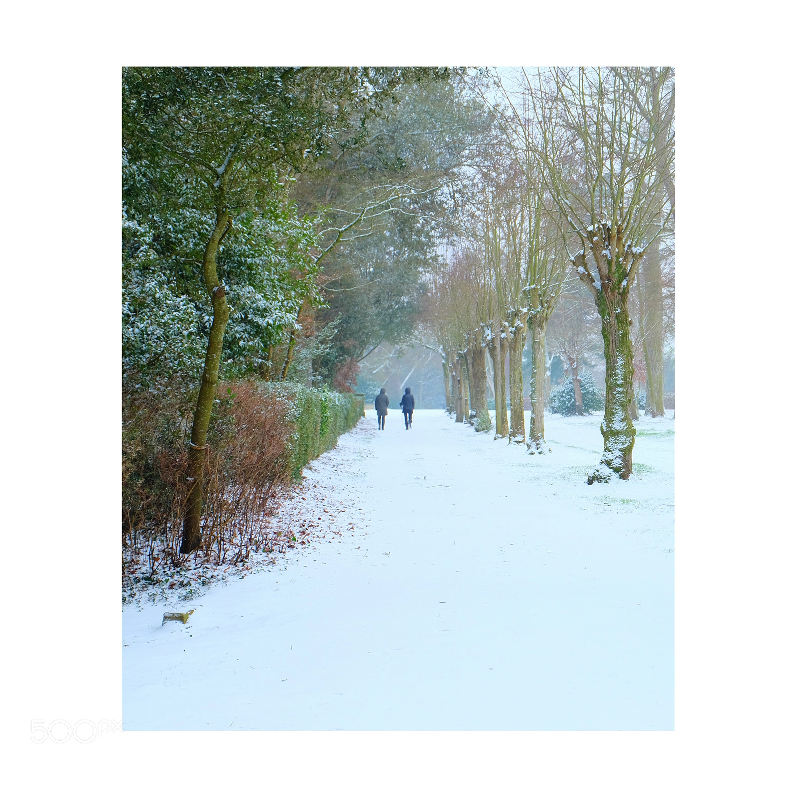 Fujifilm X-M1 sample photo. Snow photography