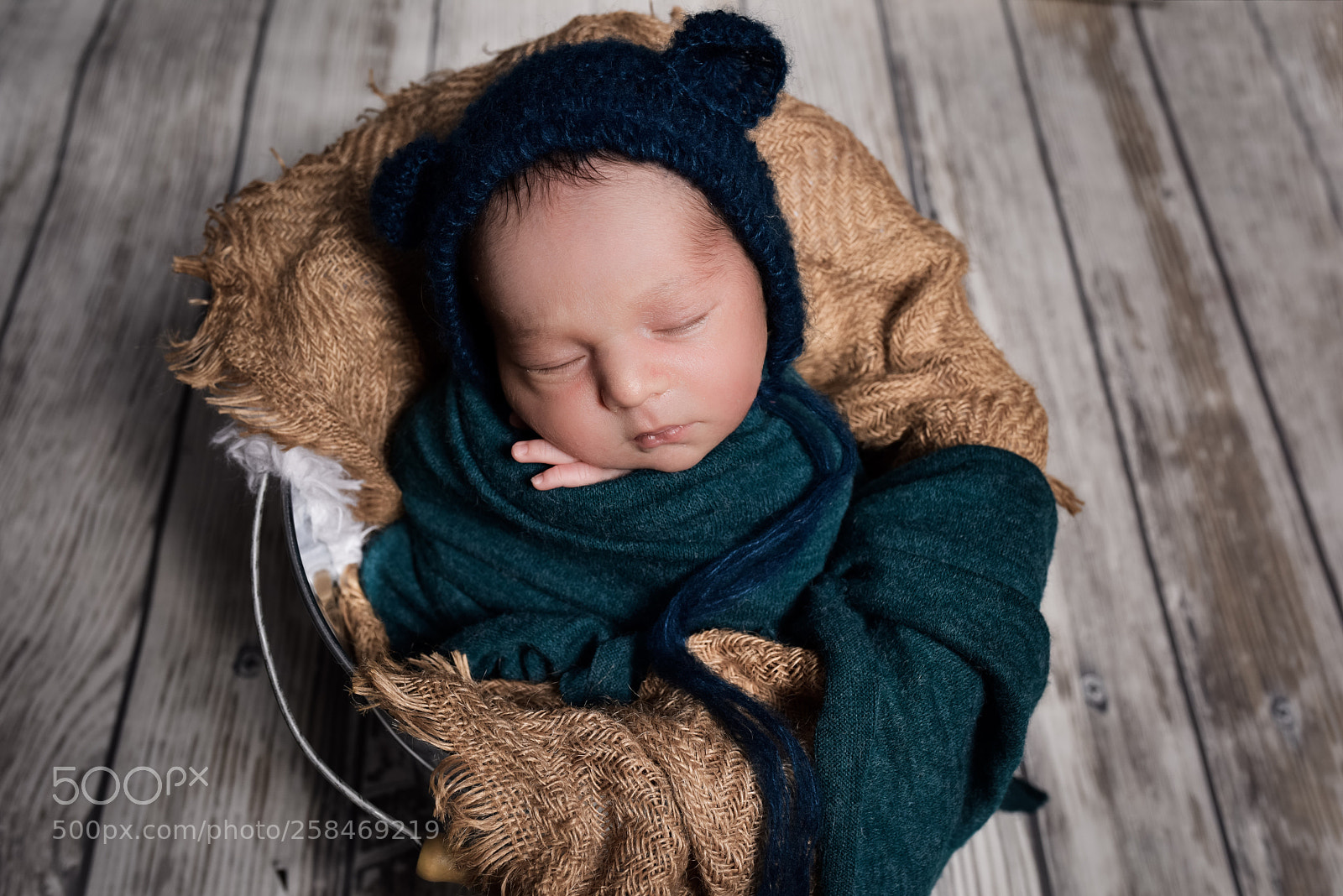 Nikon D810 sample photo. Joli petit ourson 
 photography