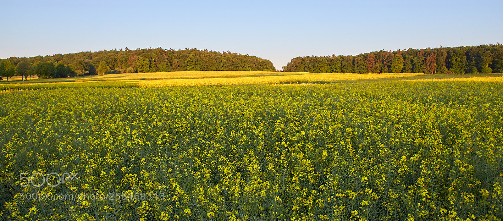 Canon EOS 6D sample photo. Perfect spring photography