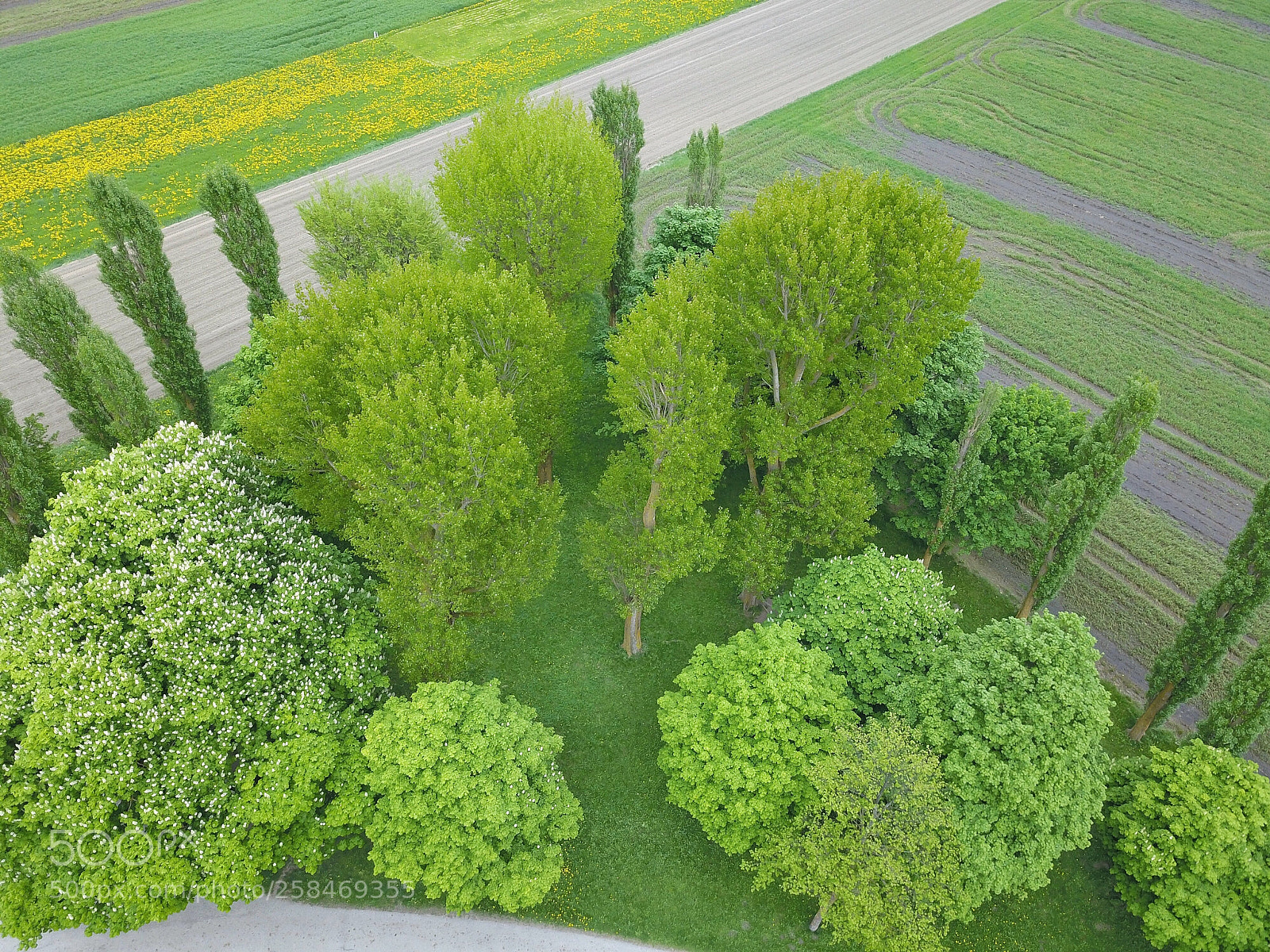 DJI FC220 sample photo. Untitled photography
