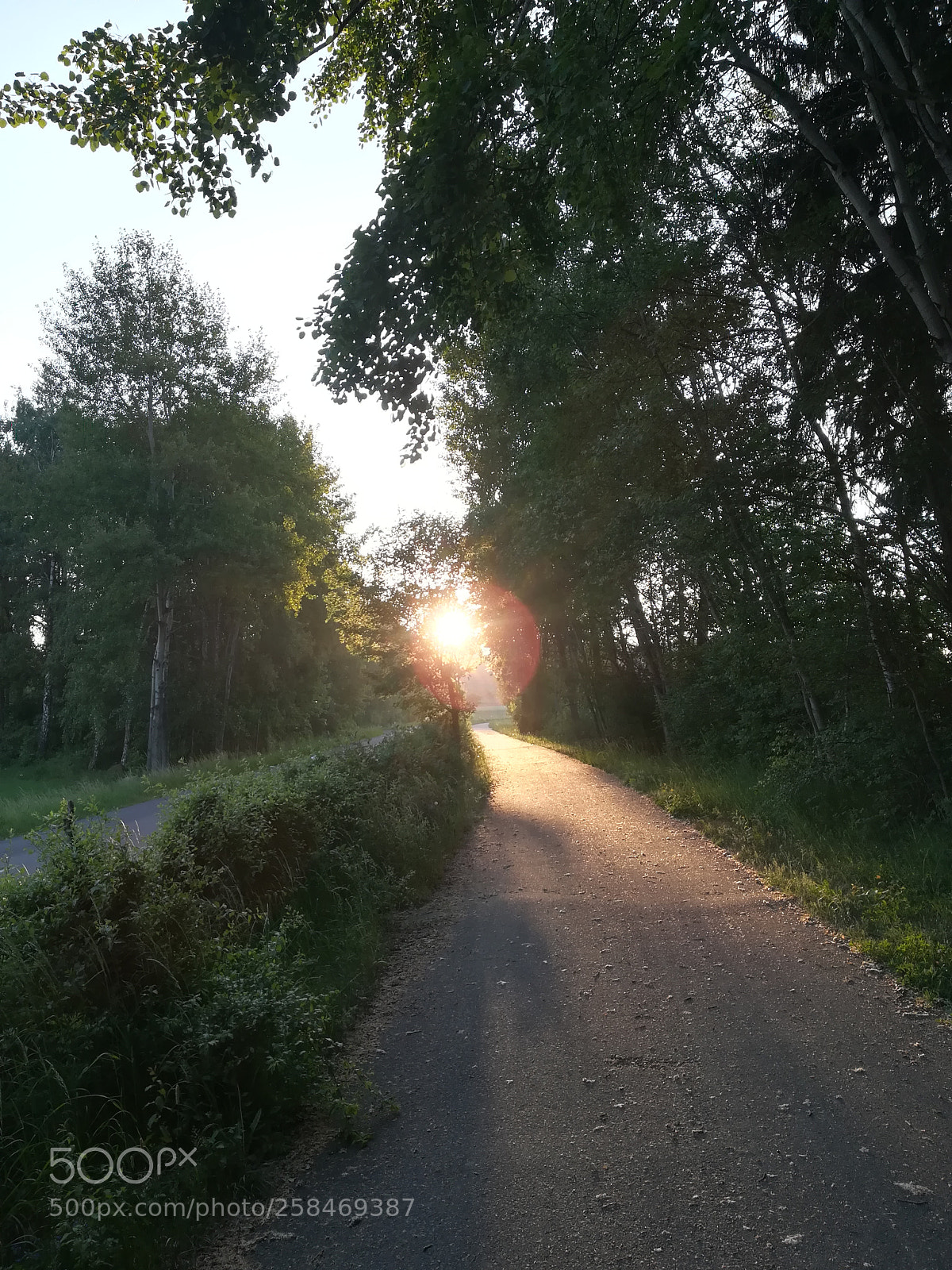 HUAWEI PRA-LX1 sample photo. Sun.. photography