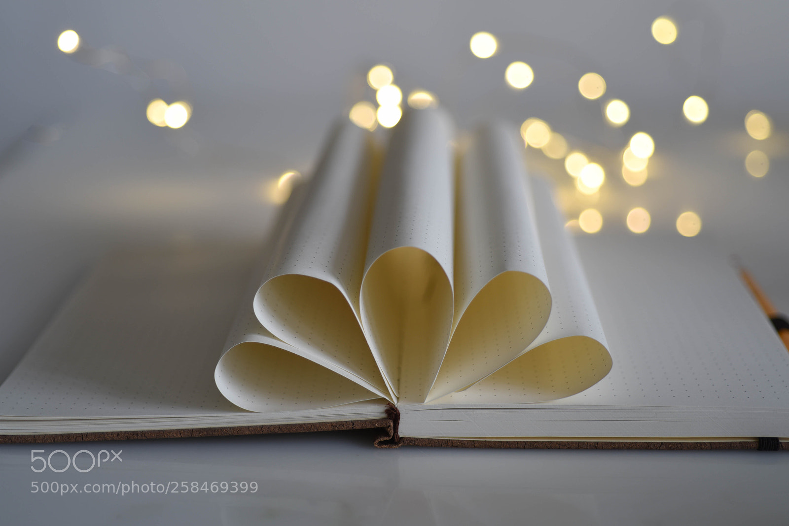 Nikon D750 sample photo. Pages photography