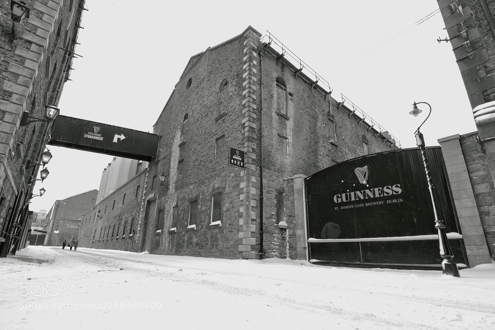 Canon EOS 80D sample photo. Guinness, the home of photography