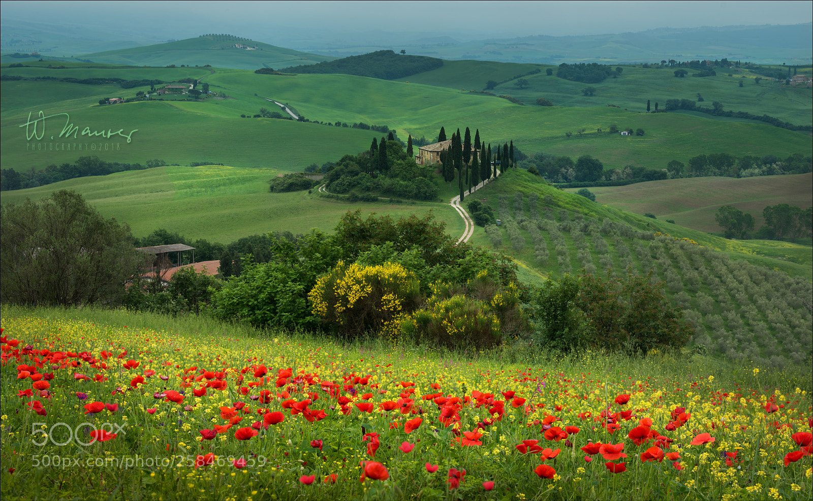 Nikon D800 sample photo. Tuscany belvedere photography