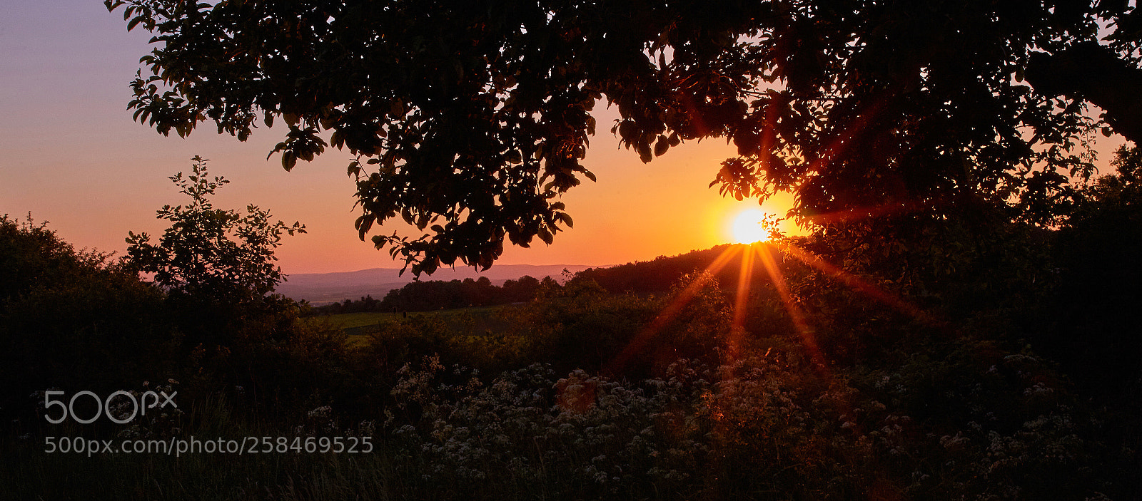 Canon EOS 6D sample photo. You are late photography