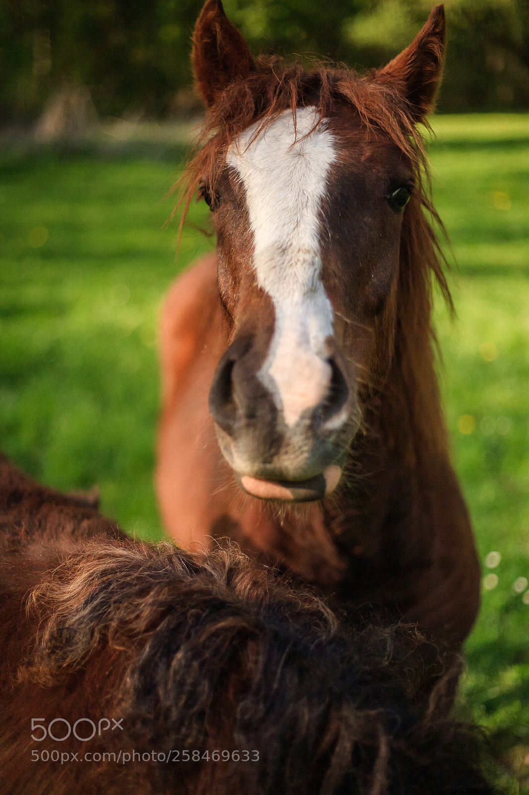 Canon EOS 5D sample photo. ~ photography