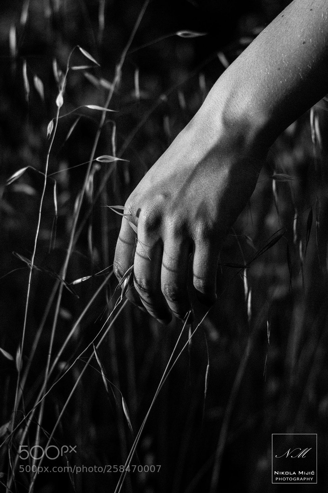 Nikon D3200 sample photo. Emotion photography