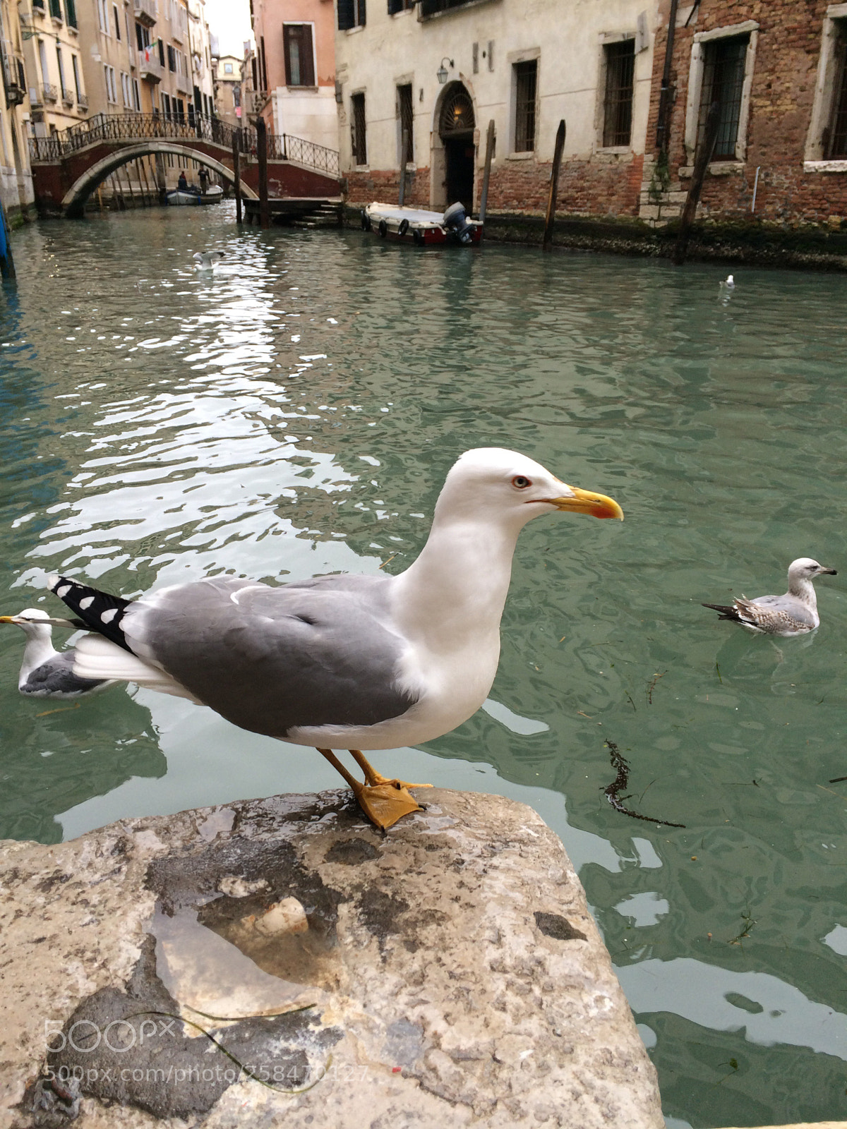 Apple iPhone 5s sample photo. Je m’envole  photography