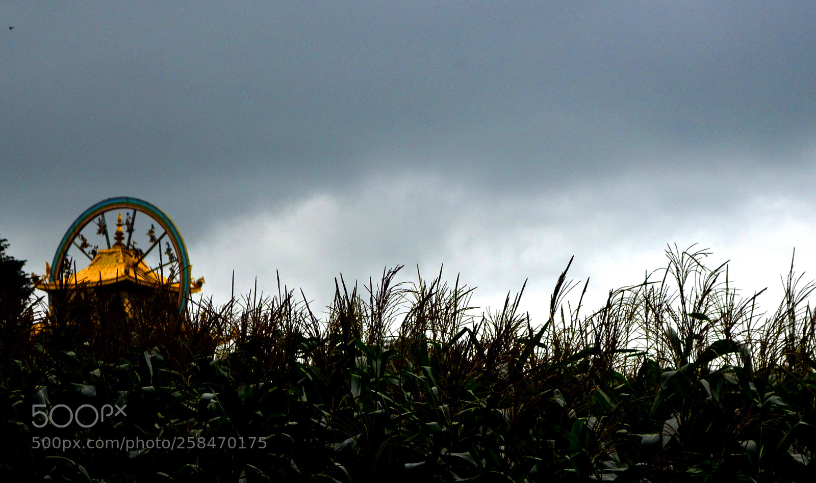 Nikon D5100 sample photo. Pure land - buddha photography