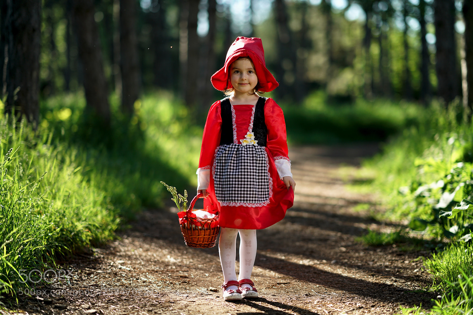 Sony a7R II sample photo. Untitled photography