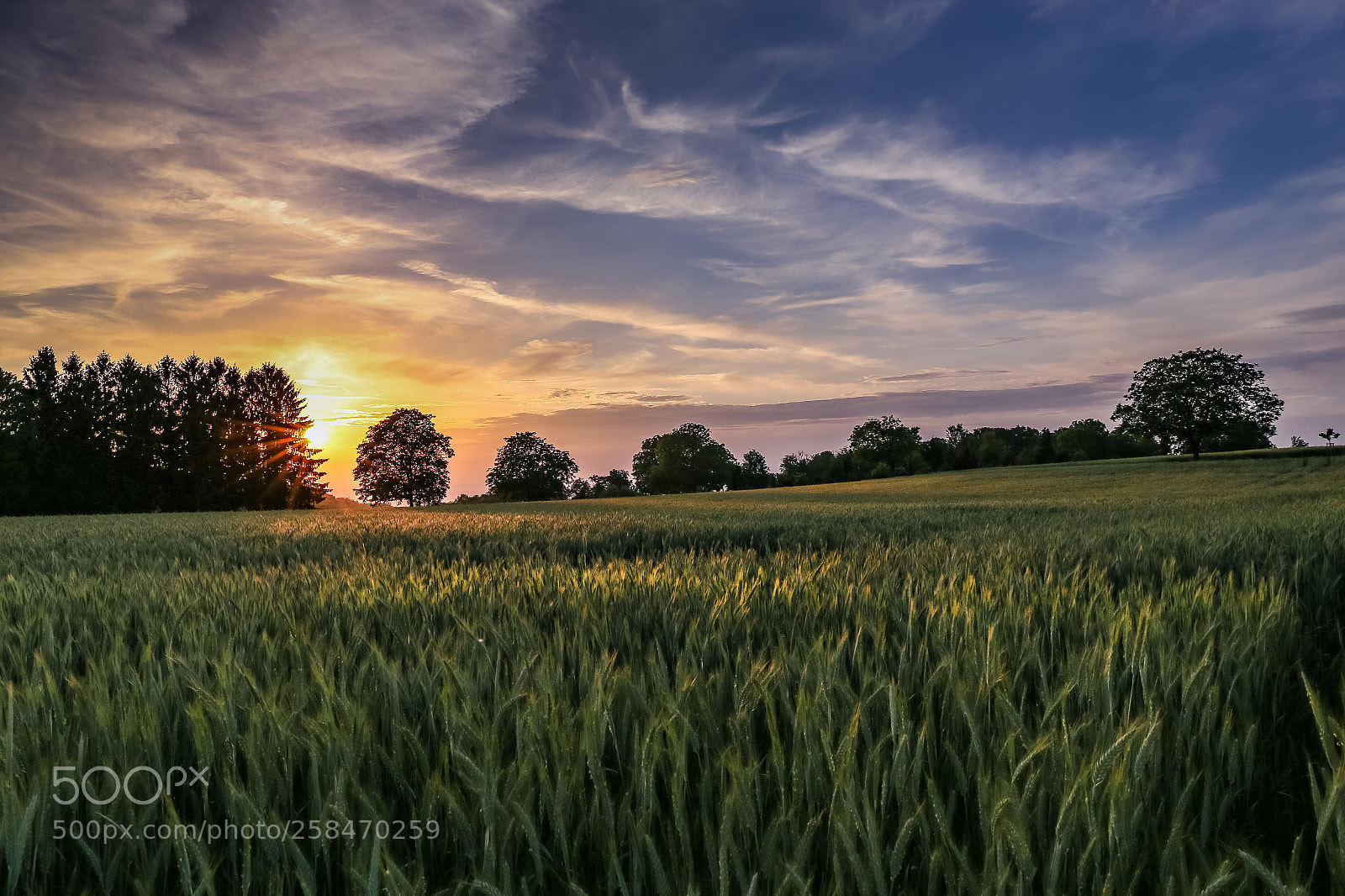 Canon EOS 6D sample photo. Sunset wide photography