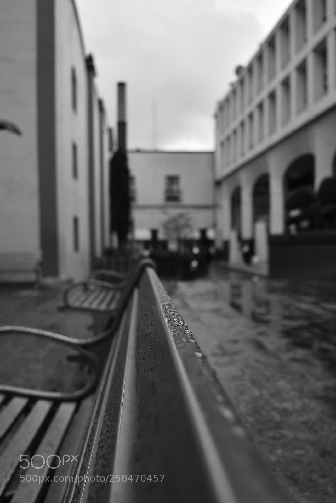 Nikon D5500 sample photo. Caminando por la ciudad photography
