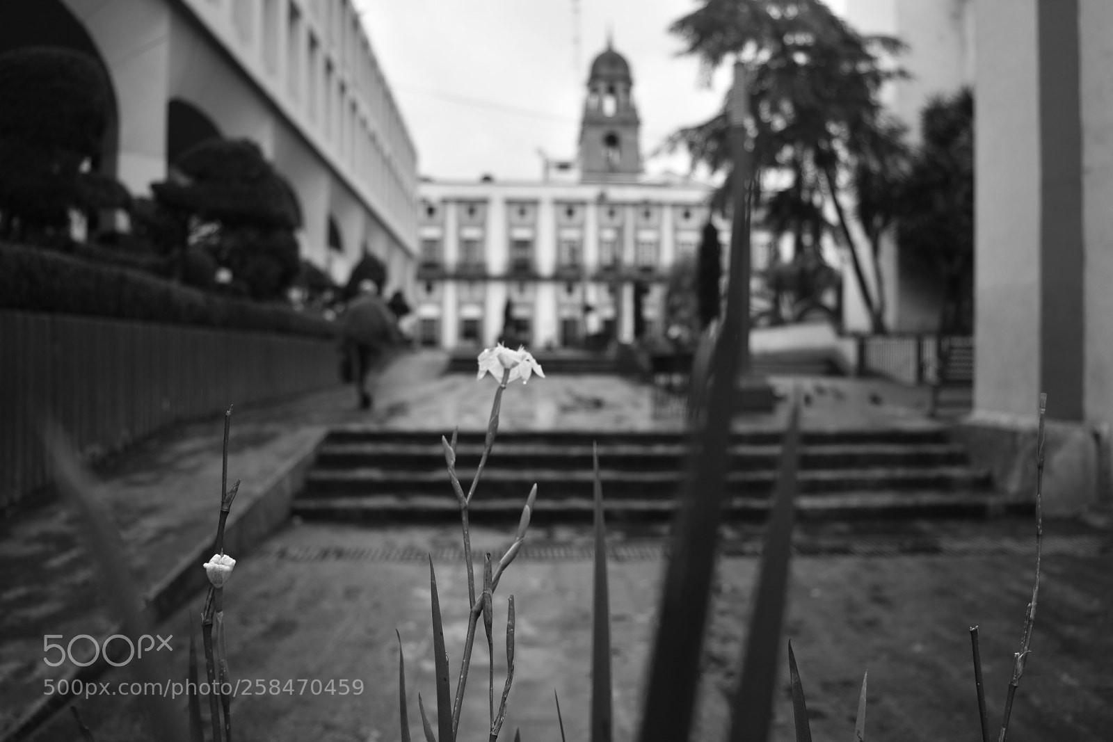 Nikon D5500 sample photo. Caminando por la ciudad photography