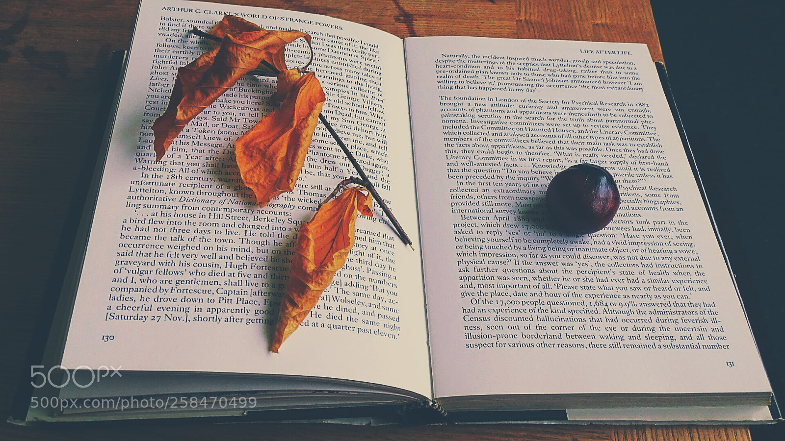 Sony Cyber-shot DSC-HX400V sample photo. Auturm leaves,conkers and books photography