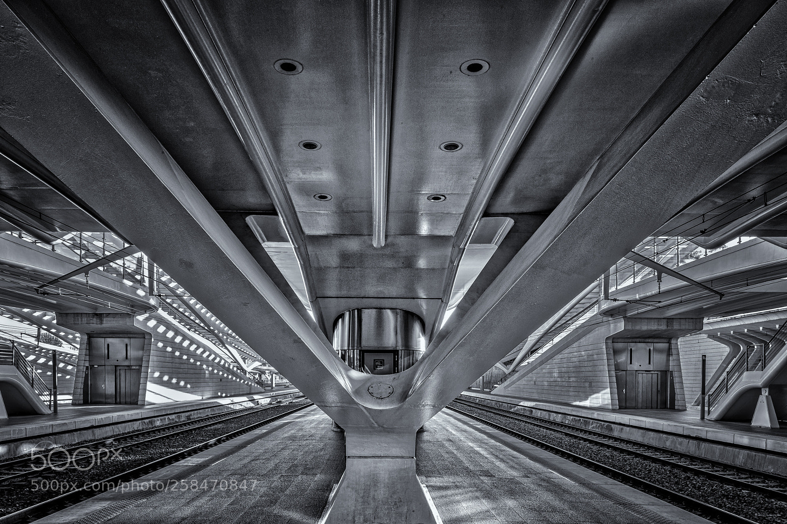 Nikon D4S sample photo. Space environment guillemins li photography