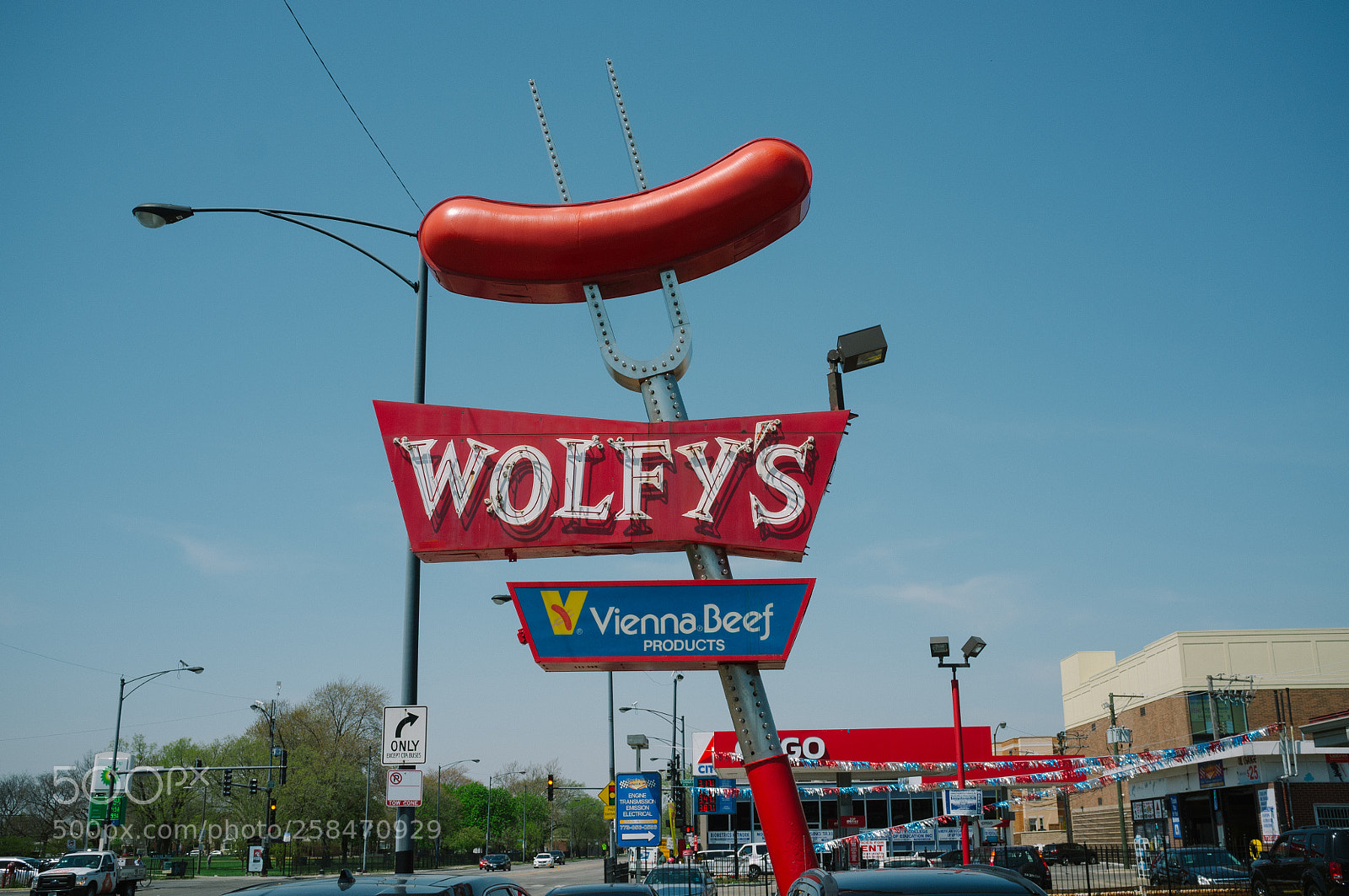 Fujifilm FinePix X100 sample photo. Wolfy's photography
