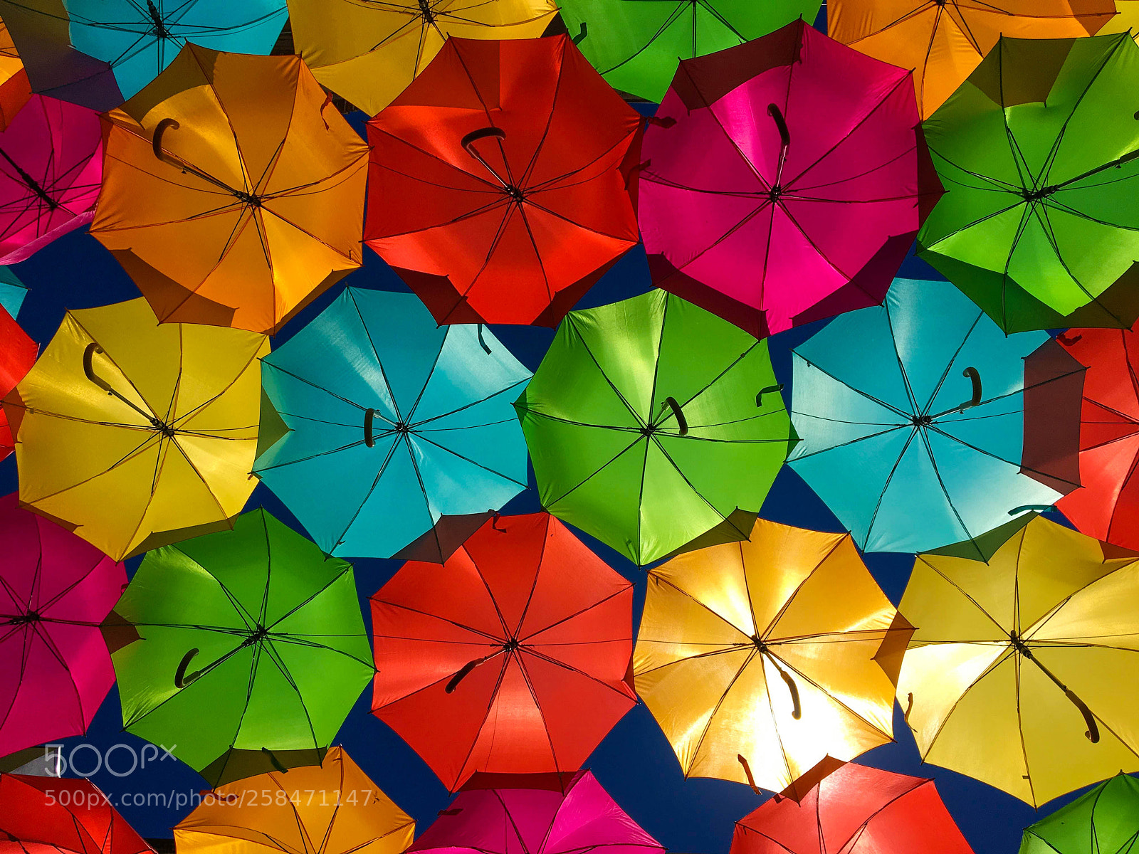 Apple iPhone 6s sample photo. Umbrellas photography