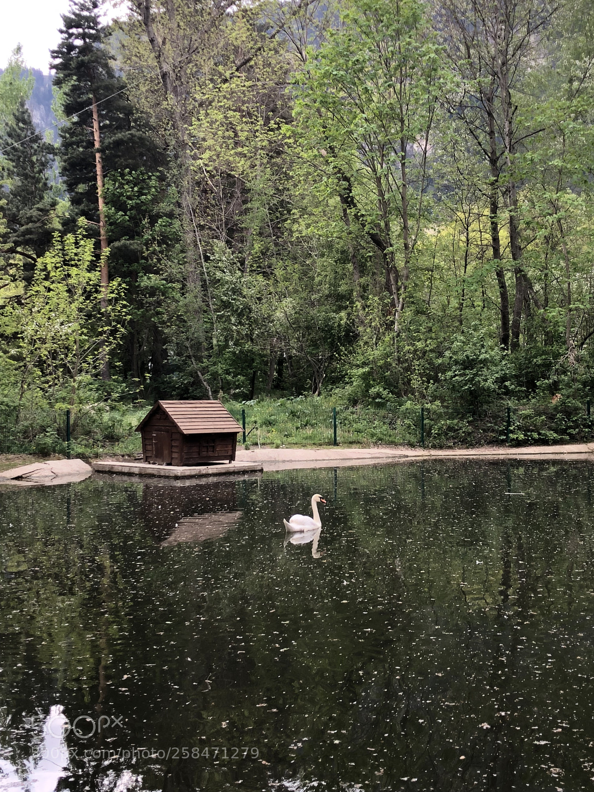 Apple iPhone 8 Plus sample photo. Untitled photography