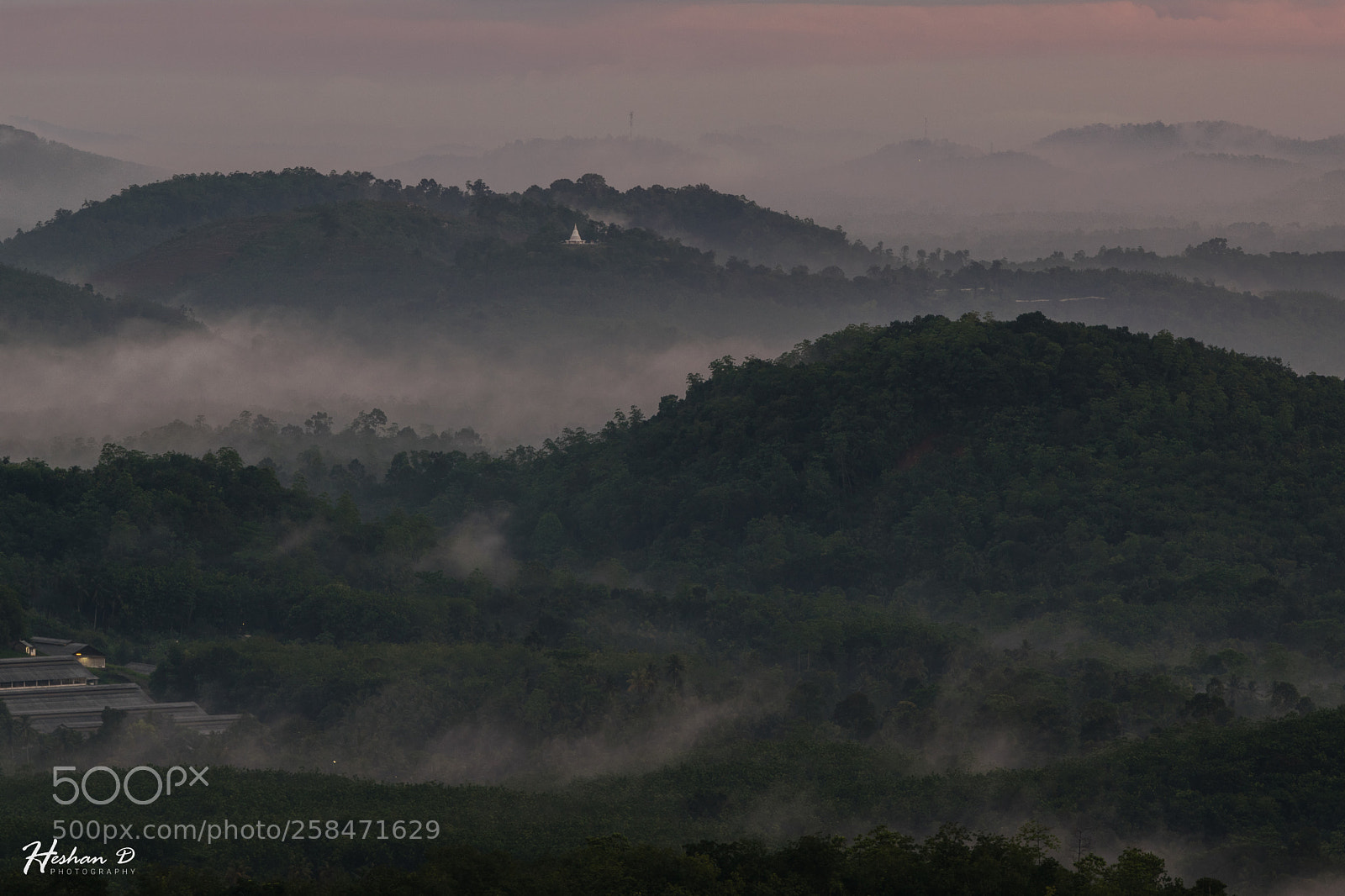 Nikon D5300 sample photo. Morning photography