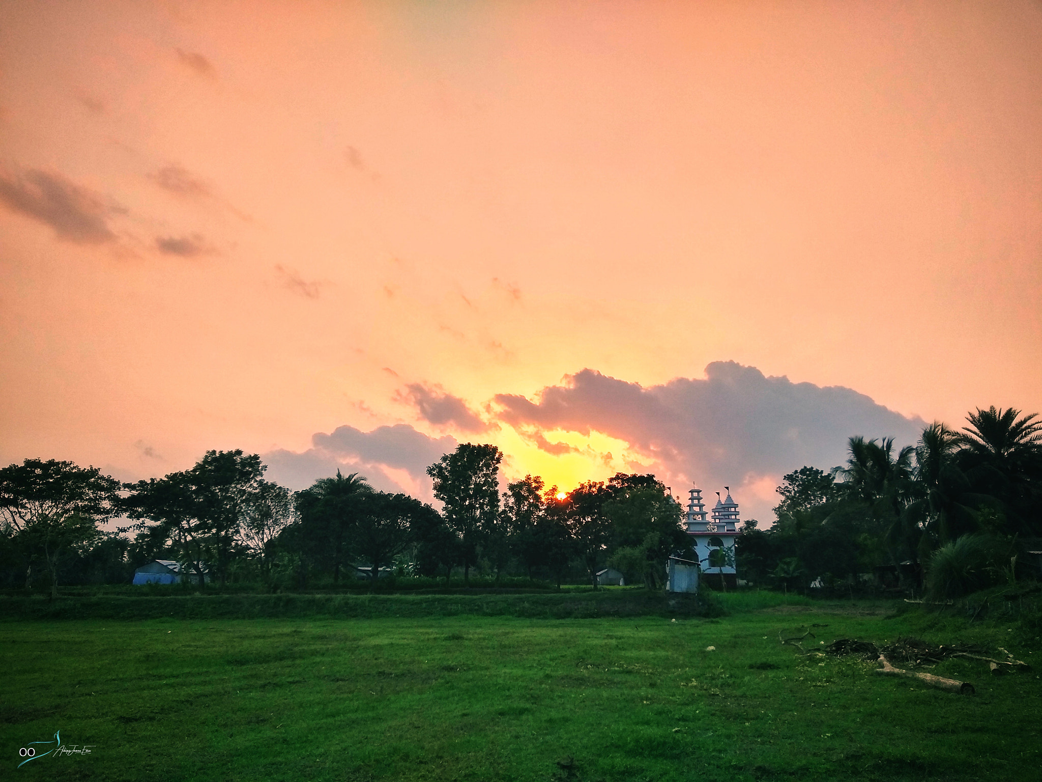 Motorola Moto G (5S) Plus sample photo. #afternoon photography