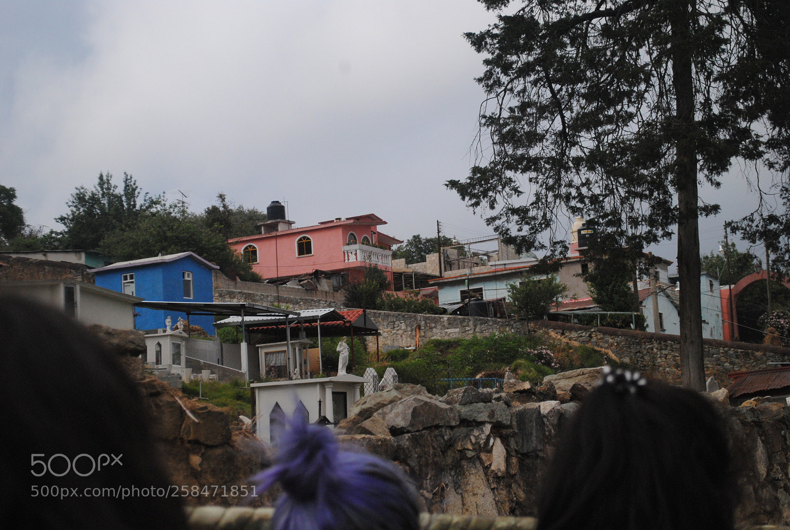 Nikon D3000 sample photo. Untitled photography