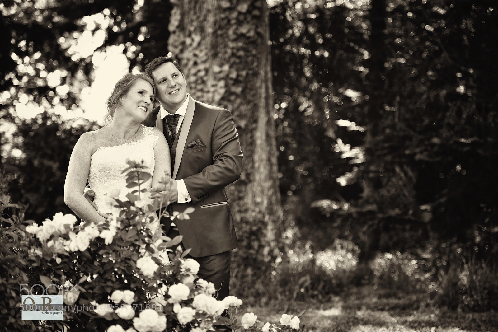 Nikon D850 sample photo. Solène & christian photography