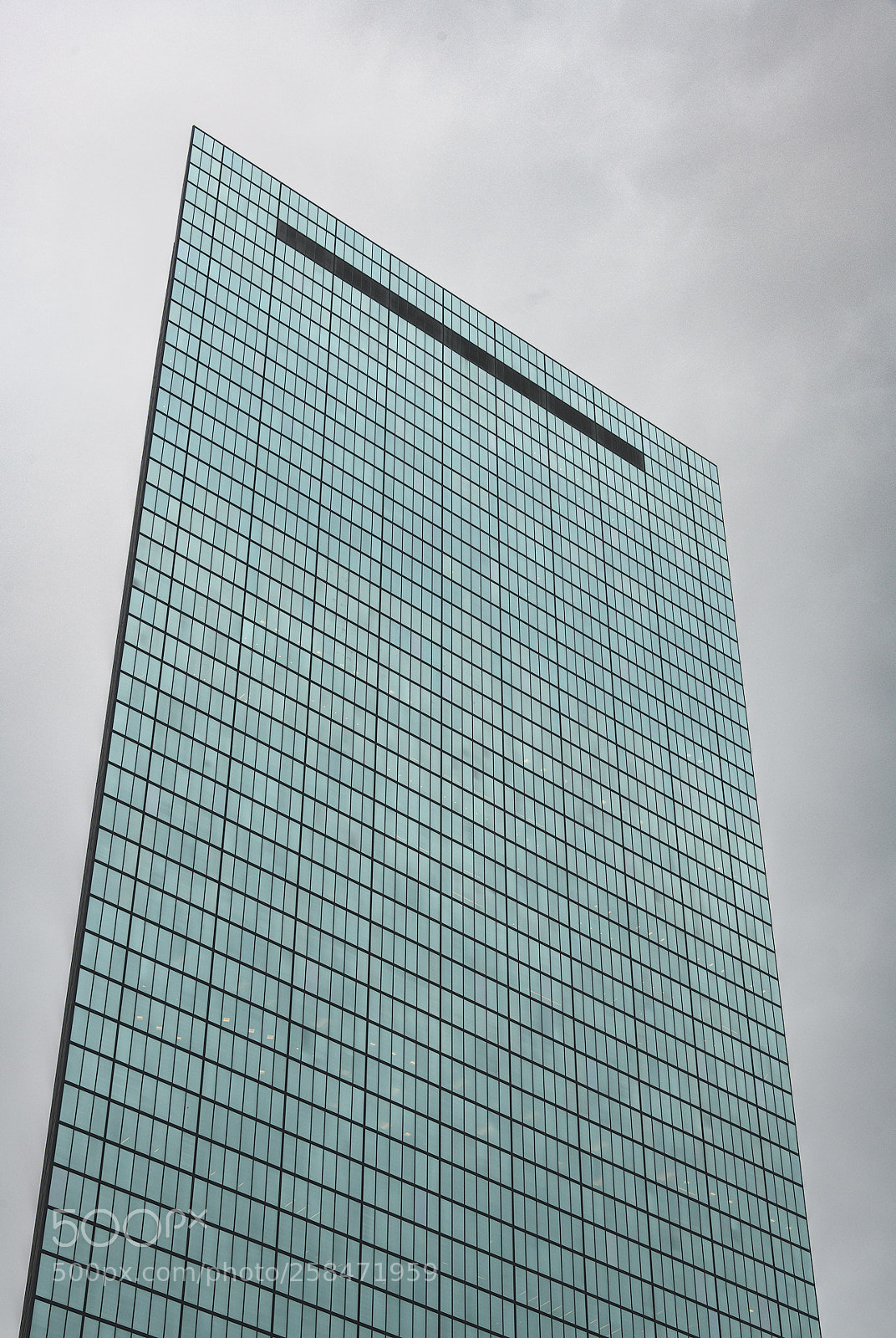 Nikon D850 sample photo. Standing tall photography