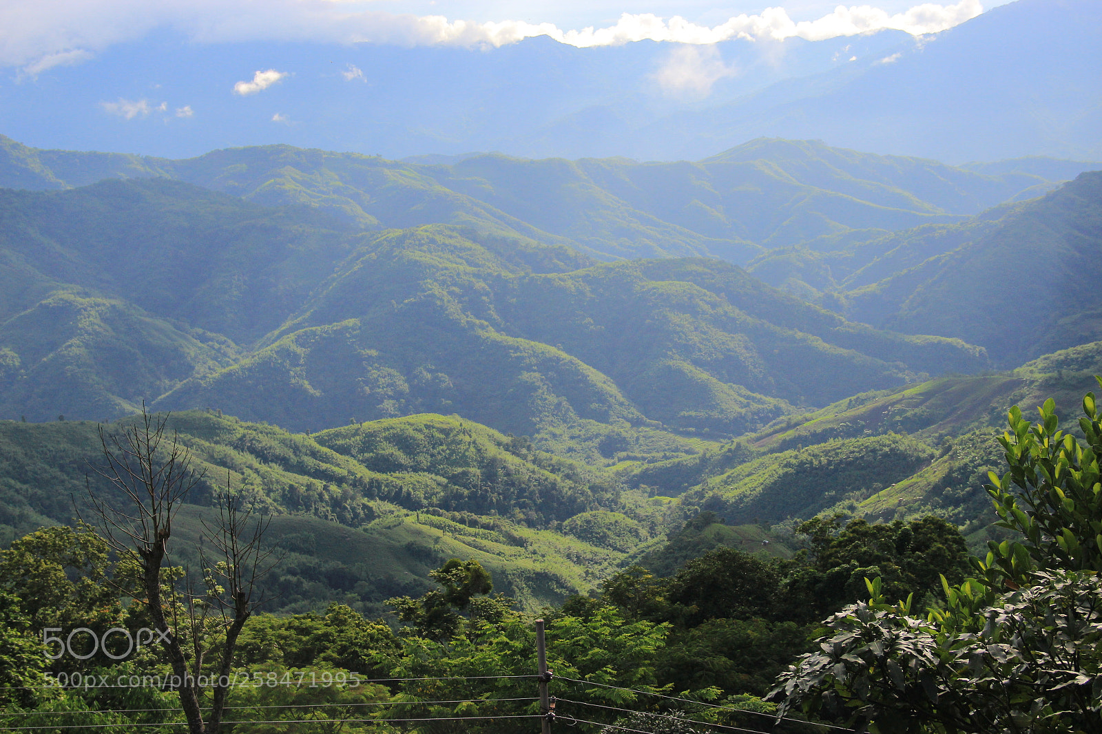Canon EF-S 18-135mm F3.5-5.6 IS sample photo. Untitled photography