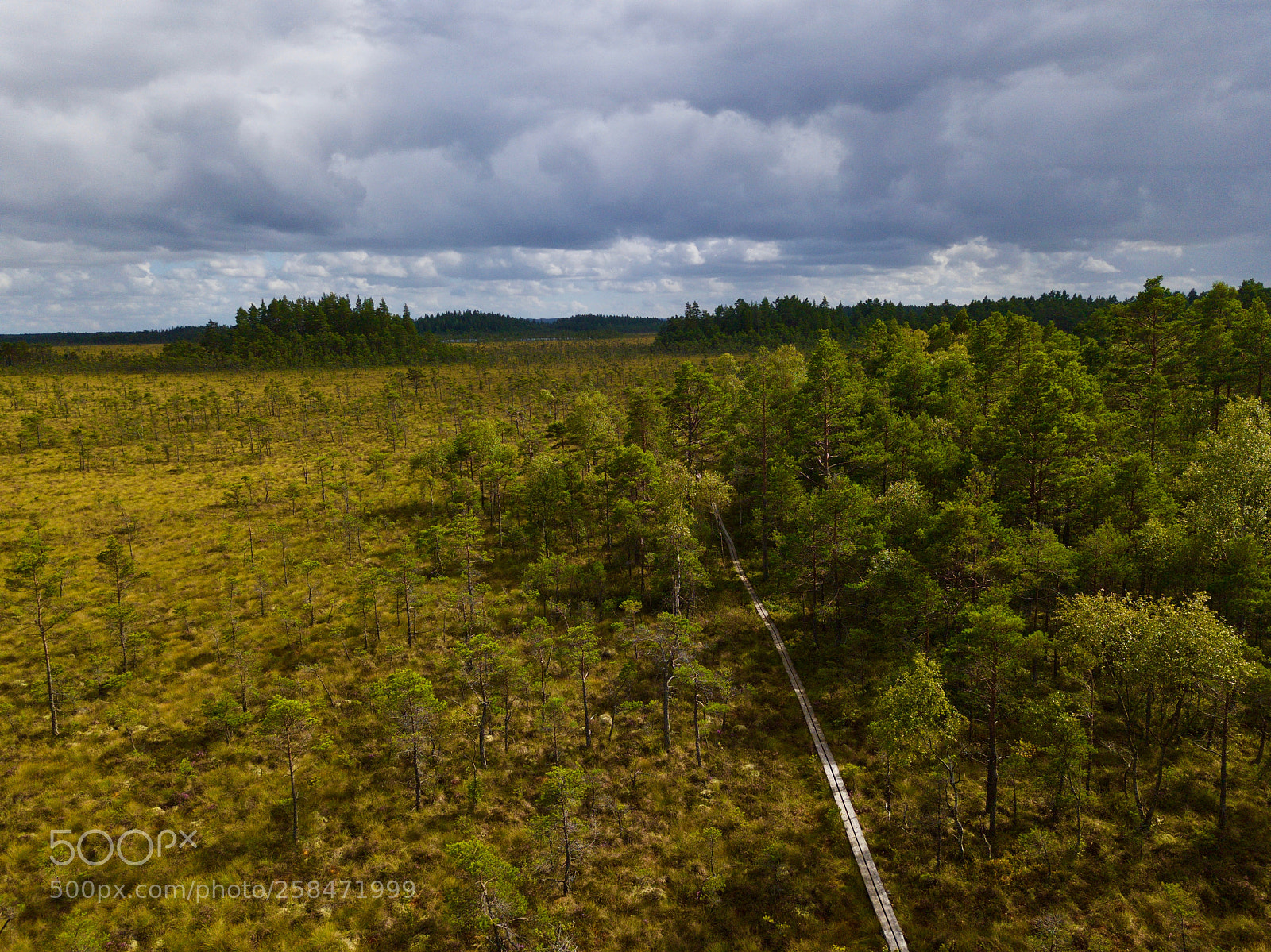 DJI FC220 sample photo. Storre mosse national park photography