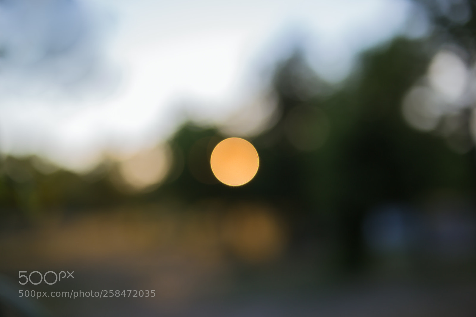 Canon EOS 6D sample photo. May evening photography